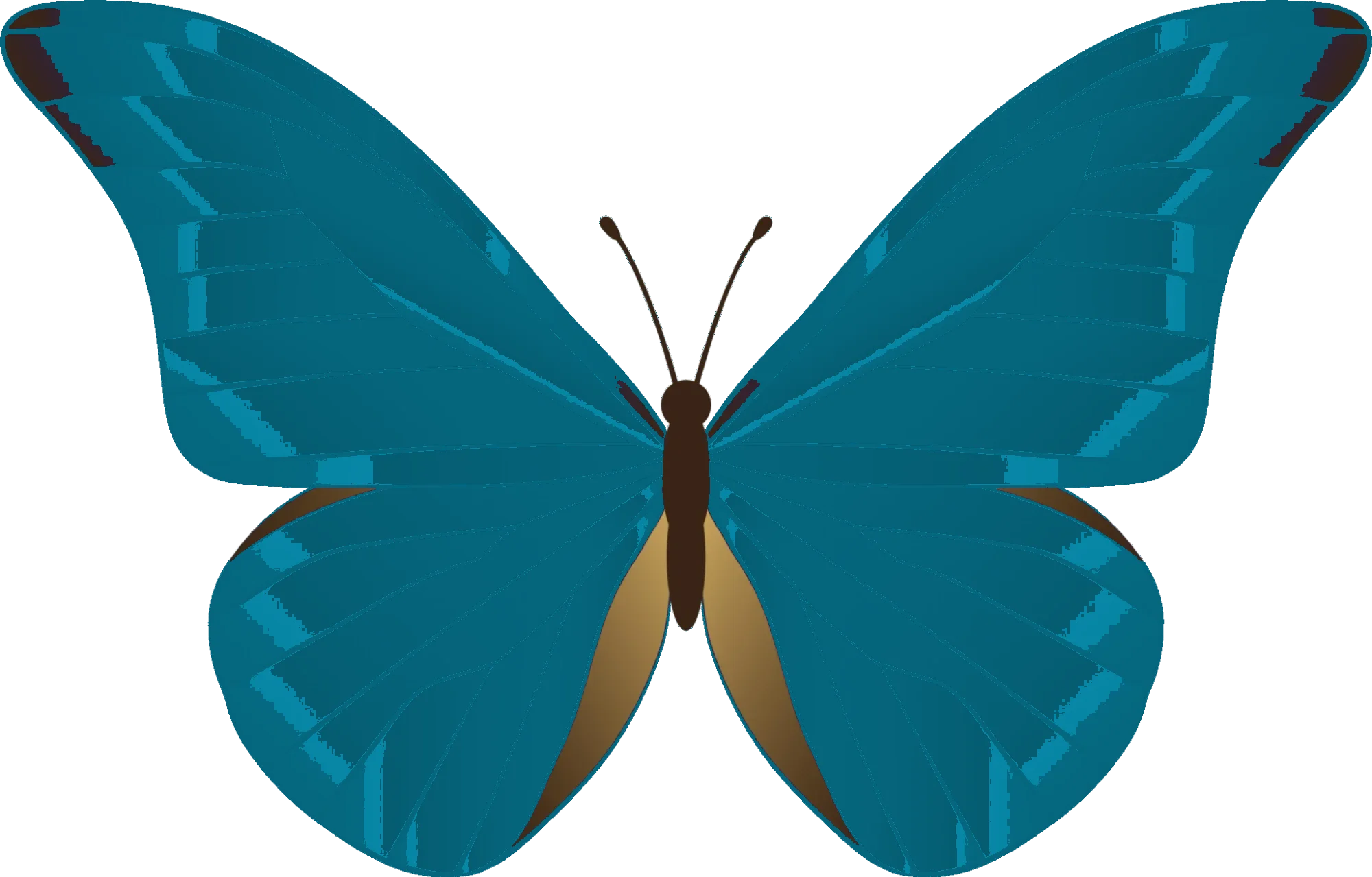 einfachklaro Logo - Leichte Sprache Übersetzung